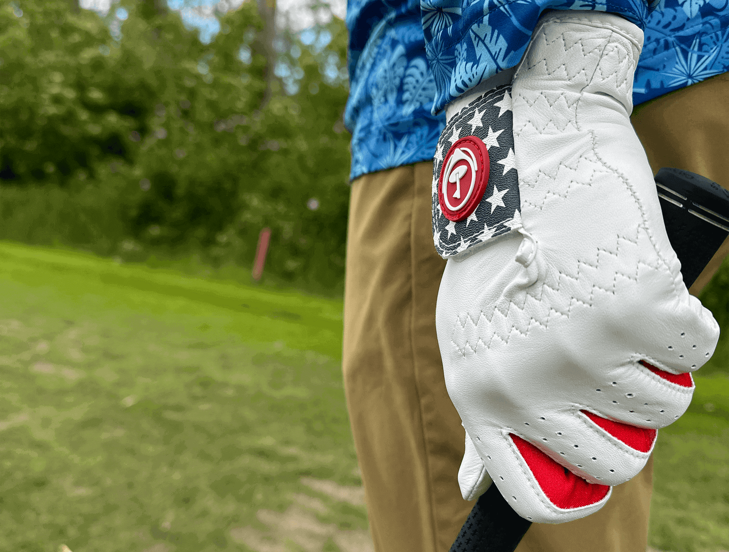 WorldWide Golfer Glove