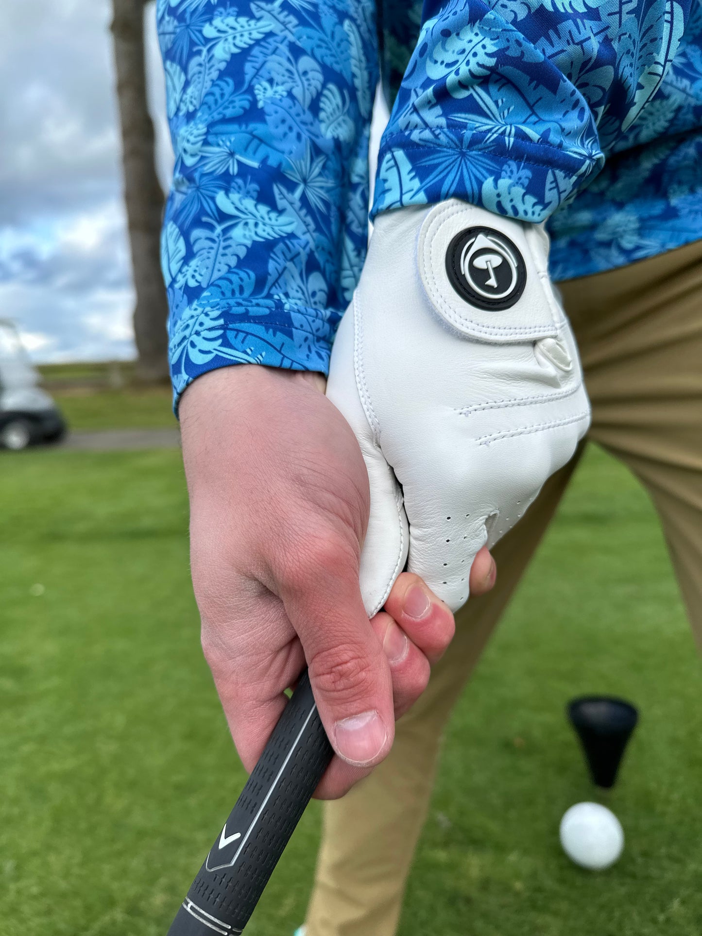 Men's Whiteout Glove