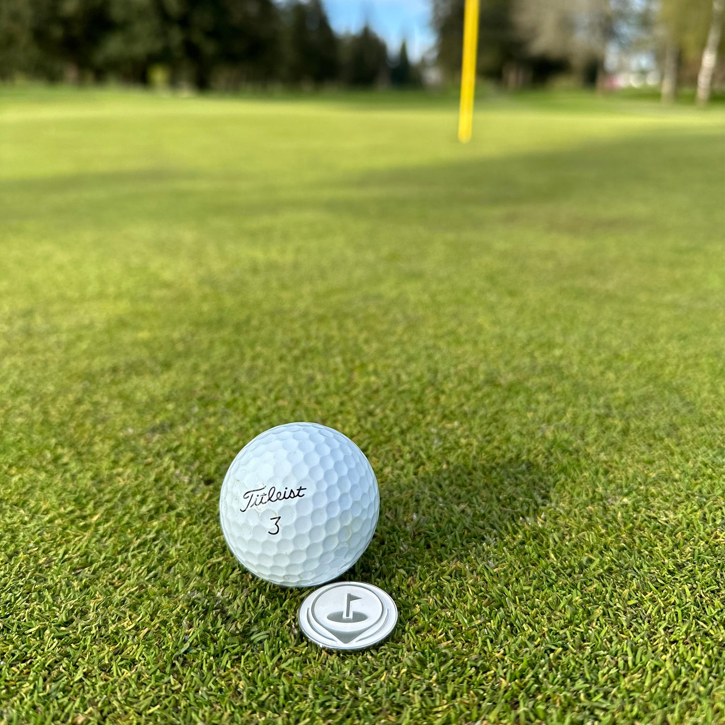 Silver Divot Tool